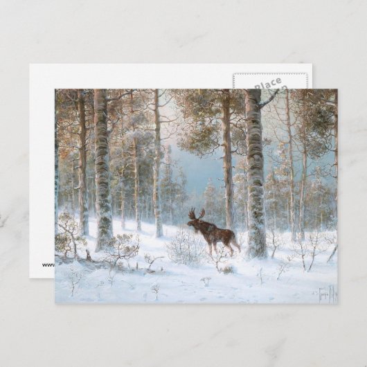 Leodinovich: Elk in the Forest Postkarte (Vorne/Hinten)