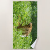 Leon Beach Handtuch (Vorderseite)