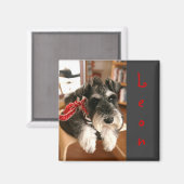 Leon Magnete B Magnet (Vorderseite/Rückseite)