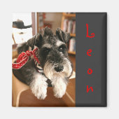 Leon Magnete B Magnet (Vorne)