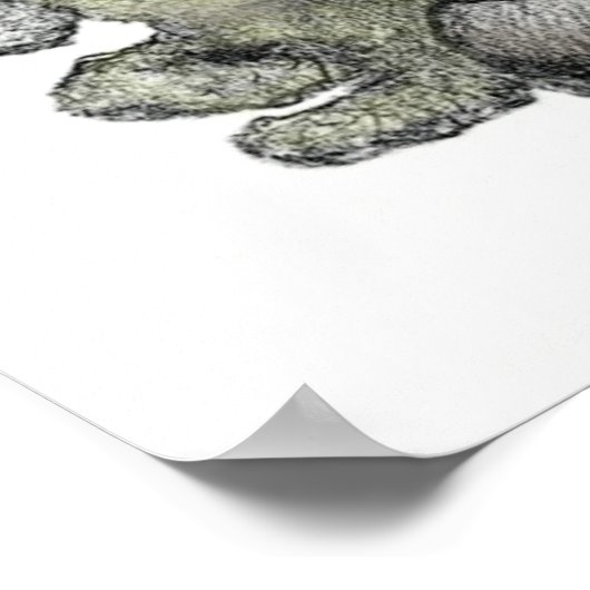 Leonard Oberlender - Farbe - Poster (Ecke)