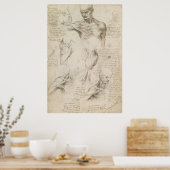 Leonardo Anatomisches Zeichn von Schulter und Neck Poster (Küche)