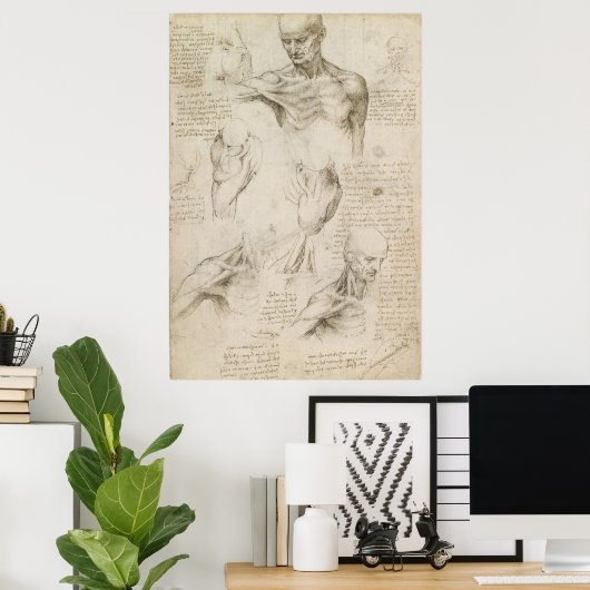 Leonardo Anatomisches Zeichn von Schulter und Neck Poster (Heimbüro)