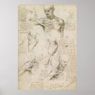 LEONARDO-anatomisches Zeichnen der Schulter und Poster