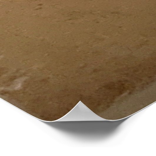 Leonardo, Atlantic Codex - Die Architekten Poster (Ecke)