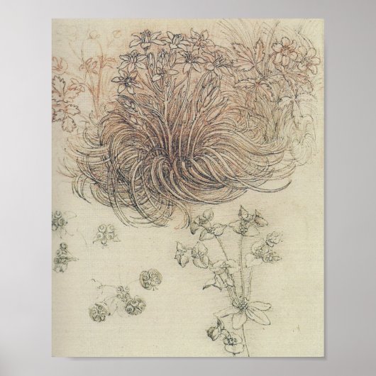 Leonardo Botanical Study Poster (Vorne)