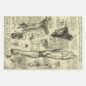 Leonardo da Vinci 3 verschiedene menschliche Anato Geschenkpapier Set (Vorderseite 3)