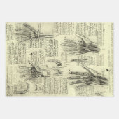 Leonardo da Vinci 3 verschiedene menschliche Anato Geschenkpapier Set (Vorderseite 2)