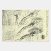 Leonardo da Vinci 3 verschiedene menschliche Anato Geschenkpapier Set (Vorderseite)