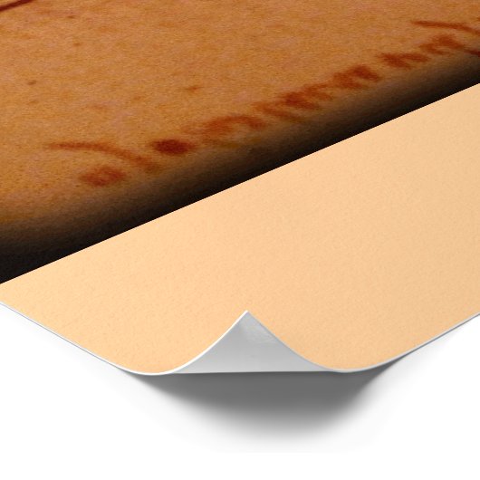 Leonardo da Vinci Foot Poster (Ecke)