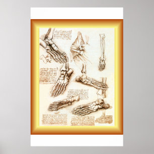 Leonardo da Vinci ~ Fußanatomie ~ 40 X 60 GROSS Poster