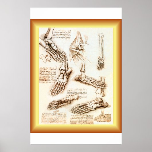 Leonardo da Vinci ~ Fußanatomie ~ 40 X 60 GROSS Poster (Vorne)