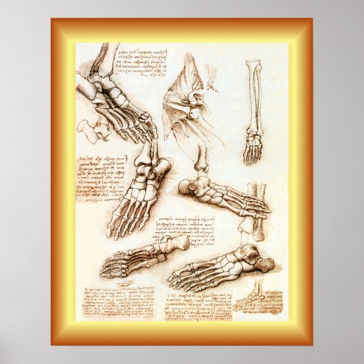 Leonardo da Vinci ~ Fußanatomie ~ Poster (Vorne)