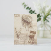 Leonardo da Vinci - Hirnphysiologie Postkarte (Stehend Vorderseite)