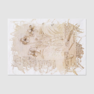 Leonardo da Vinci Inspiriert Seidenpapier