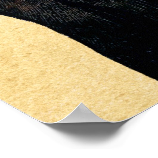 Leonardo da Vinci Lady mit Ermine Poster (Ecke)