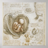Leonardo da Vinci Poster (Vorne)