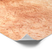 Leonardo da Vinci Selbstportrait Roter Chalk Poster (Ecke)