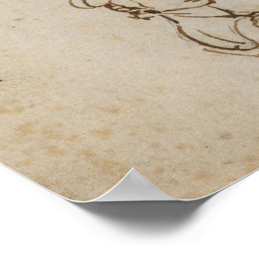 Leonardo Da Vinci Sketches Poster (Ecke)