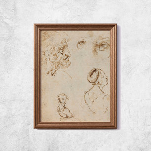 Leonardo Da Vinci Sketches Poster