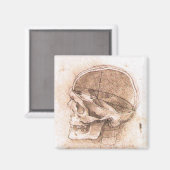 Leonardo da Vinci Skull Anatomie Kunst Magnet (Vorderseite/Rückseite)