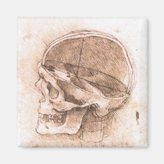 Leonardo da Vinci Skull Anatomie Kunst Magnet (Vorne)