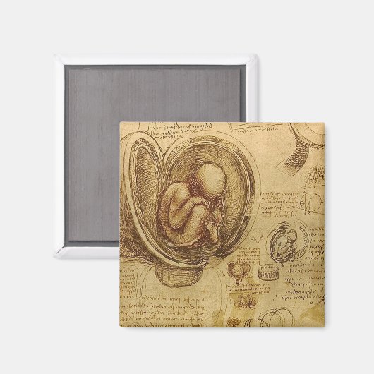 Leonardo Da Vinci - Studie über Anatomie Magnet (Vorderseite/Rückseite)