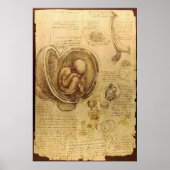 Leonardo Da Vinci - Studie über Anatomie Poster (Vorne)