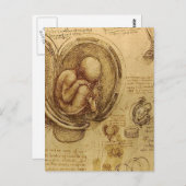 Leonardo Da Vinci - Studie über Anatomie Postkarte (Vorne/Hinten)