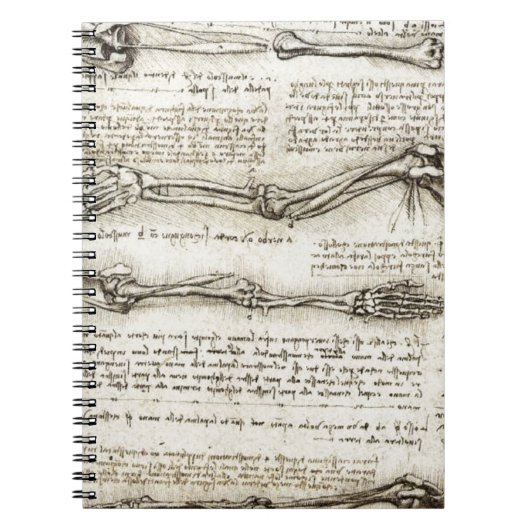 Leonardo da Vinci - Studien der Arm-Grafik Notizblock (Vorderseite)