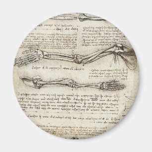 Leonardo da Vinci - Studien des Arms Kunstwerk Magnet