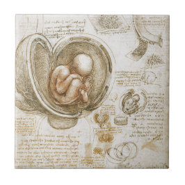 Leonardo da Vinci-Studien des Fötusses in der Fliese