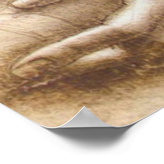 Leonardo da Vinci Study of Arms and Hands Poster (Ecke)