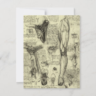 Leonardo da Vinci Vintage menschliche Anatomie Keh