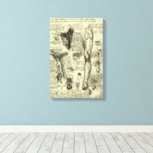 Leonardo da Vinci Vintage menschliche Anatomie Lar Leinwanddruck
