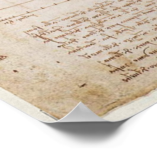 Leonardo da Vinci Vitruvian Man Poster (Ecke)