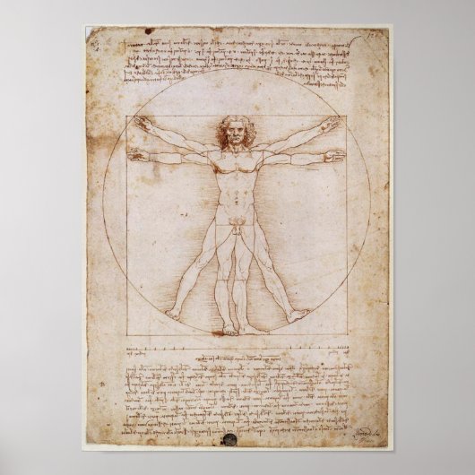 Leonardo da Vinci Vitruvian Man Poster (Vorne)