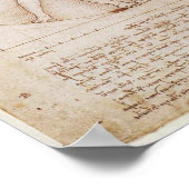 Leonardo da Vinci Vitruvian Man Poster (Ecke)