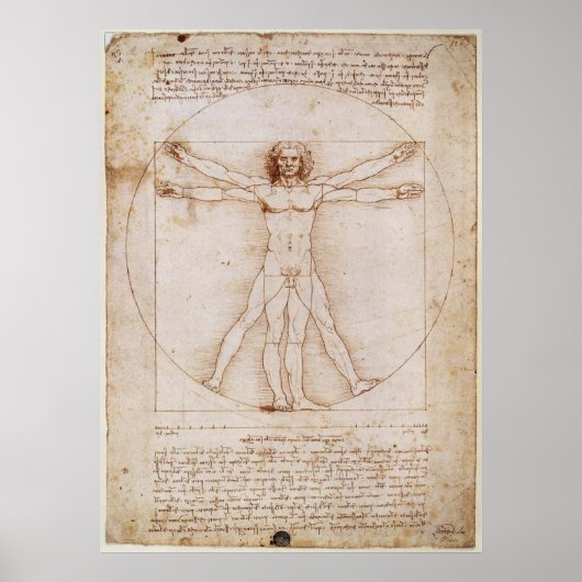 Leonardo da Vinci Vitruvian Man Poster (Vorne)