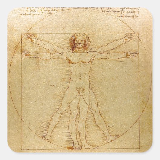 Leonardo da Vinci , Vitruvian Man Quadratischer Aufkleber (Vorderseite)