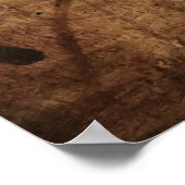 Leonardo Da Vinci Young Woman Poster (Ecke)