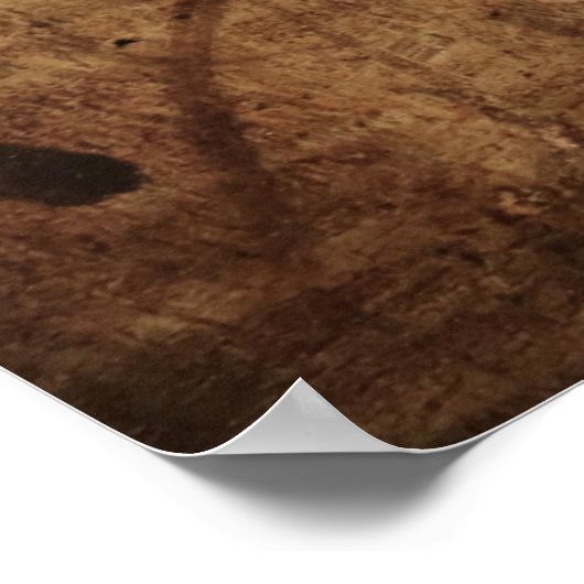 Leonardo Da Vinci Young Woman Poster (Ecke)