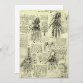 Leonardo da Vincis Anatomie der menschlichen Hand (Vorne/Hinten)