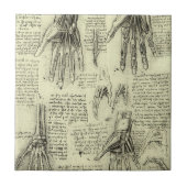 Leonardo da Vincis Anatomie der menschlichen Hand Fliese (Vorderseite)