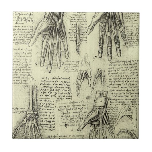 Leonardo da Vincis Anatomie der menschlichen Hand Fliese (Vorderseite)