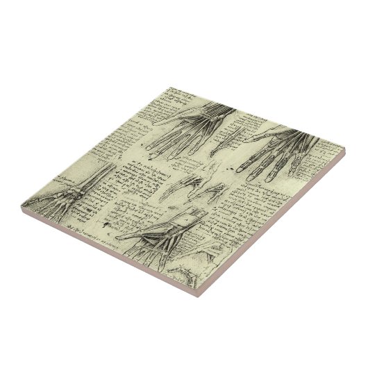 Leonardo da Vincis Anatomie der menschlichen Hand Fliese (Seite)