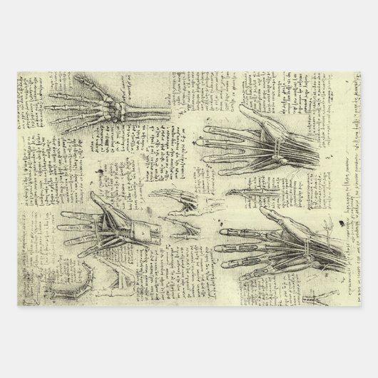 Leonardo da Vincis Anatomie der menschlichen Hand Geschenkpapier Set (Vorderseite)