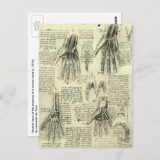 Leonardo da Vincis Anatomie der menschlichen Hand Postkarte (Vorne/Hinten)