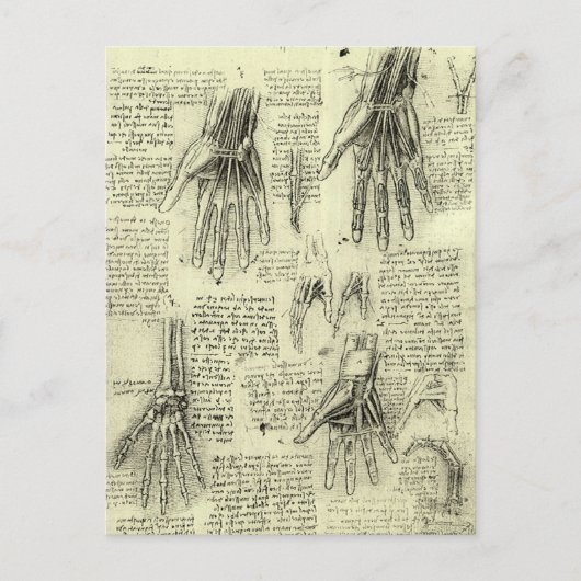 Leonardo da Vincis Anatomie der menschlichen Hand Postkarte (Vorderseite)