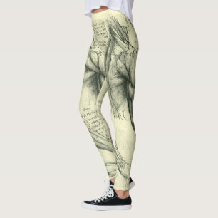 Leonardo da Vincis Anatomie des Arms und der Schul Leggings